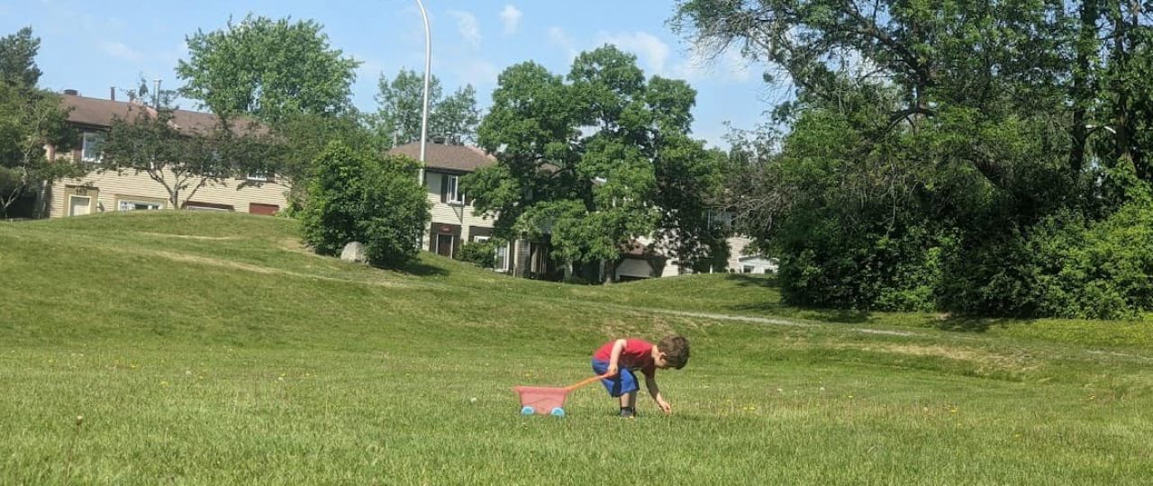 Five-year old boy picks leaves on the grass in a park